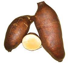 Cajamarca Yacon Vegetable Seeds for Planting - Heirloom and Non-GMO Garden Seeds