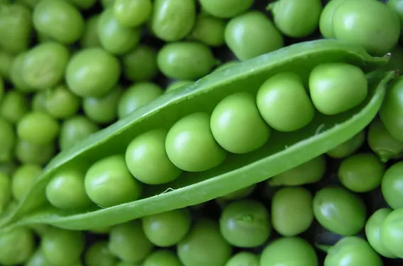 Sugar Pea, Snow Pea Vegetable Seeds