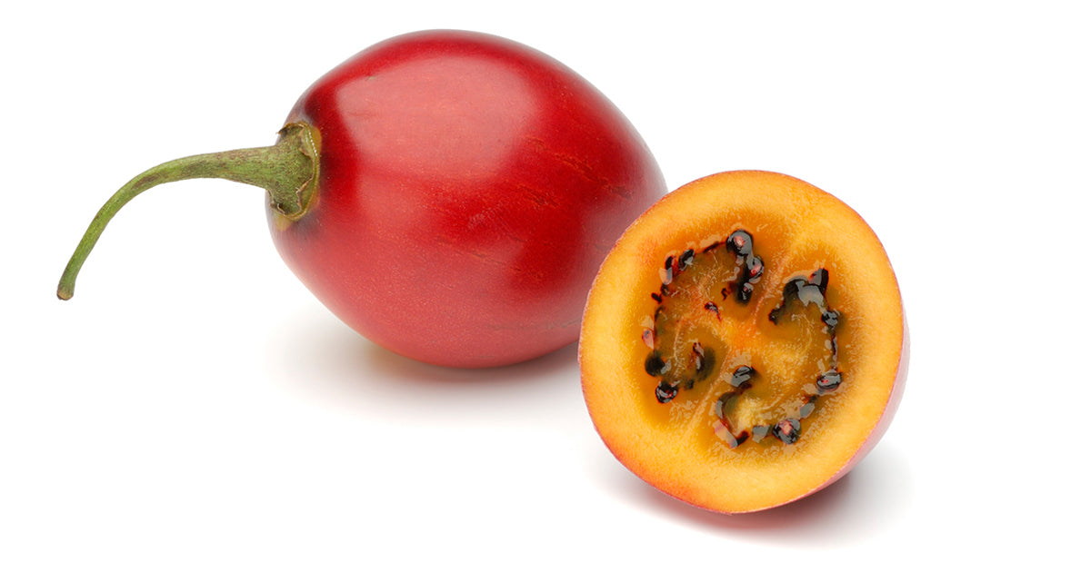 Tamarillo- Red