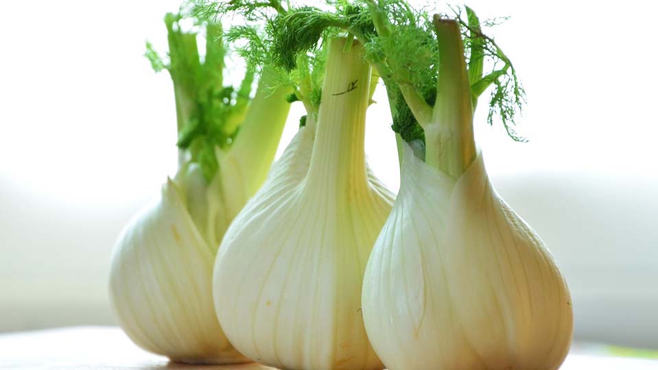 Fino – Organic Fennel Seed