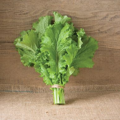 Suehlihung No. 2 – Mustard Green Seed