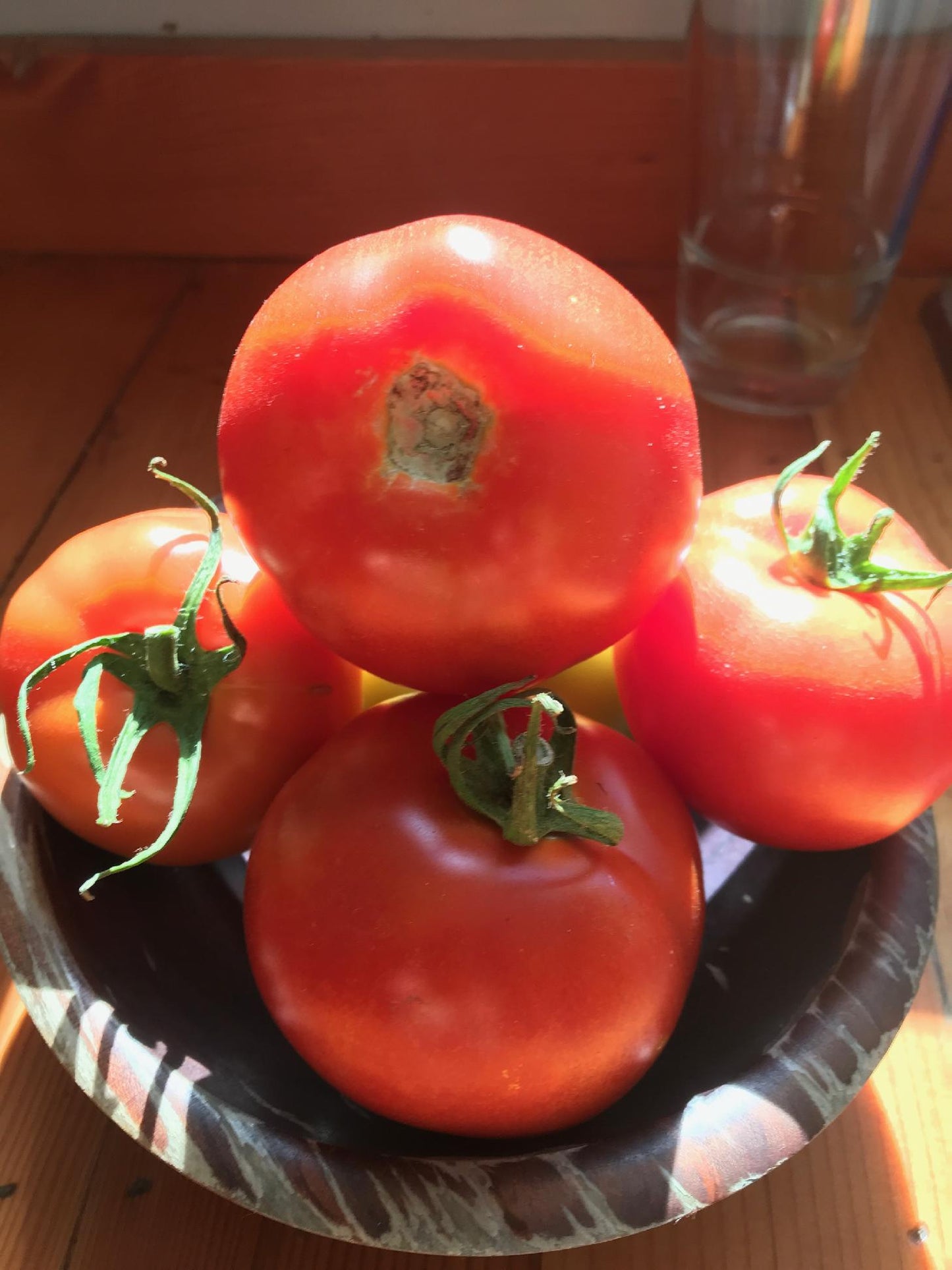 Estiva – Tomato Seed