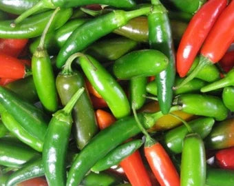 Impala – Serrano Pepper Seed