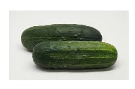 Olympian – Treated Cucumber Seed