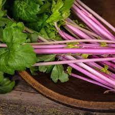Chinese Celery- Pink