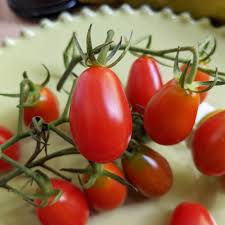 Five Star Grape – Tomato Seed