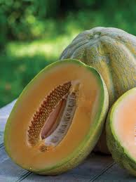 Divergent – Organic Melon Seed