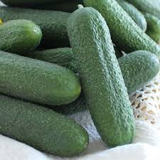 Harmonie – Cucumber Seed