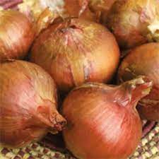 Powell – Organic Onion Seed