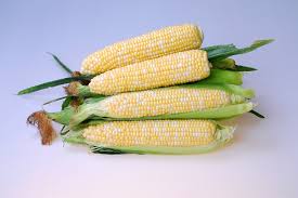 Inspiration – Corn Seed