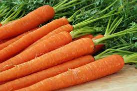 Carrot Mohan Chantenay Nantes Vegetable Seeds