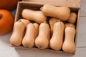 Metro PMR – Organic Butternut Squash Seed