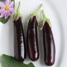 Hansel – Eggplant Seed