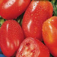 San Marzano Italian Plum Tomato Seeds for Planting - Heirloom & Non-GMO Garden Seeds