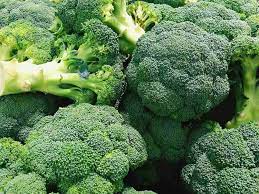 Broccoli Anastya Vegetable Seeds