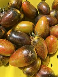 Magic Bullet – Organic Tomato Seed