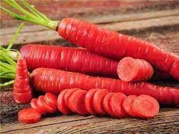 Carrot Red Long Vegetable Seeds