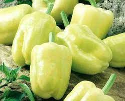 Capsicum White, Bell Pepper Ivory White Vegetable Seeds