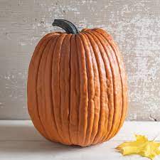 Rock Star – Treated Pumpkin Seed