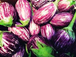 Calliope – Eggplant Seed