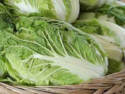 Chinese Cabbage Green Vegetable Seeds