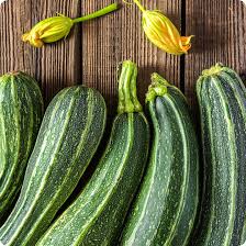 Costata Romanesco – Zucchini Squash Seed