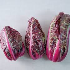 Luna Rossa – Radicchio Seed