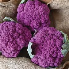 Purple Moon – Cauliflower Seed
