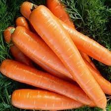 Caracas – Carrot Seed