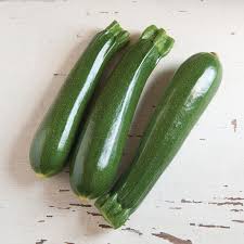 Dunja – Organic Zucchini Squash Seed