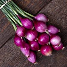 Onion- Purplette