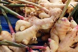 Ginger (Rhizome)