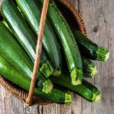 Squash Long Green Vegetable Seeds