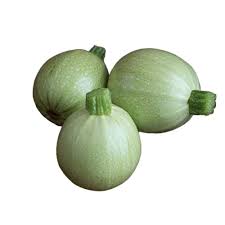 Summer Ball – Squash Seed