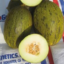 Sapomiel – Melon Seed