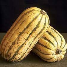 Jester – Delicata Squash Seed