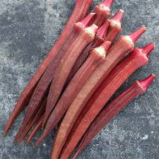 Carmine Splendor – Okra Seed