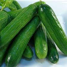 Cucumber- Lebanese