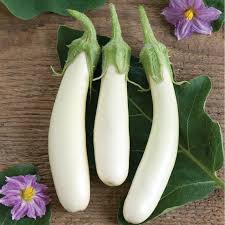 Gretel – Eggplant Seed