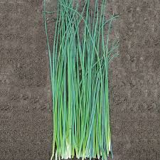 ProEasy Chives Seeds