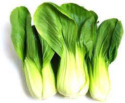 Green Pac – Bok Choy Seeds