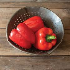 Olly – Organic Bell Pepper Seed