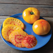 Harvest Moon – Organic Tomato Seed