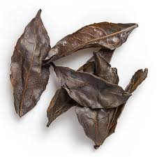 Powerhouse – Organic Lettuce Seed