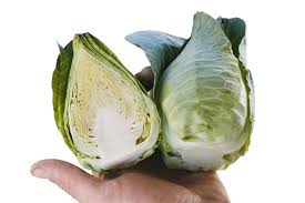 Caraflex – Cabbage Seed