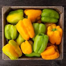 Flavorburst – Organic Bell Pepper Seed