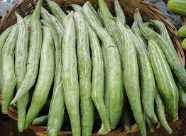 Snake Gourd Chachinda Vegetable Seeds