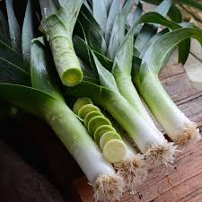 Megaton – Organic Leek Seed