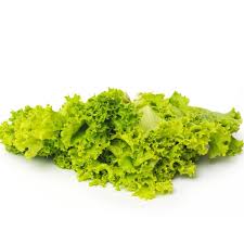 Lettuce- Australian Yellow Leaf