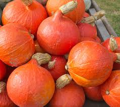 Pumpkin- Red Kuri 100g